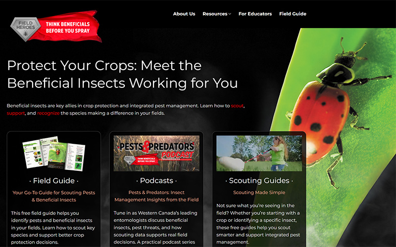 Field Heroes